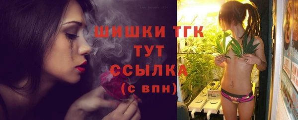 крисы Армянск