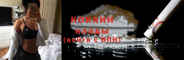 твердый Арсеньев