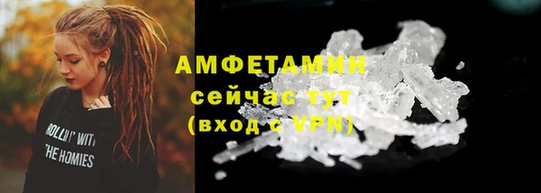 крисы Армянск