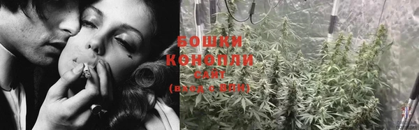 твердый Арсеньев